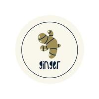 Hand Drawn circle illustrated sticker label spice herb ginger vector