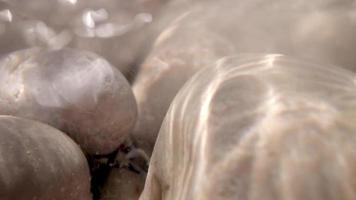 Close up macro video of stones and pebbles getting covered as the tide comes in