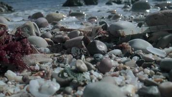Close up macro video of stones and pebbles getting covered as the tide comes in