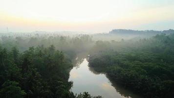 zumbido volador encima selva río en sri lanca, Ceilán. amanecer y cielo reflexiones en el río. video