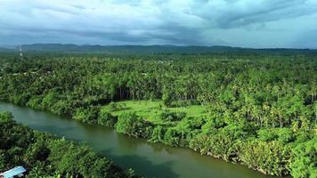 panorama Visão do sri lanka selva rio de drone. sul costa. chuva nuvens. video