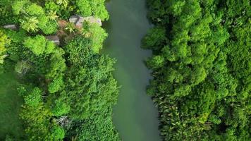 River in tropical jungle of Ceylon vertical by drone video