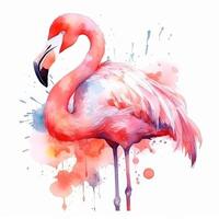 Cute watercolor flamingo. Illustration photo