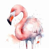 Cute watercolor flamingo. Illustration photo