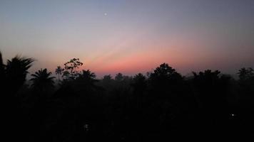 Early morning in Sri Lanka jungle with drone flight. Pink sunrise and morning star. video