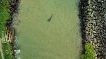 édifiant au dessus Roche cap rivière dans Indien océan par drone midigama video