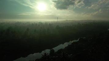 lever du soleil dans sri lanka jungle au dessus rivière par drone. Soleil rayon et réflexion dans brume. video