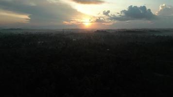 Uplifting under sunrise jungle in Sri Lanka, Ceylon by drone. Sun rays crossing morning mist. video