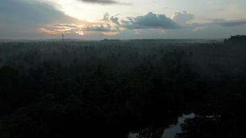 sri lanka oerwoud Bij vroeg ochtend- door drone. zonsopkomst in oerwoud. video