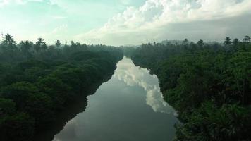 rivière dans jungle par drone à Matin dans sri lanka, ceylan. des nuages réflexion dans rivière. jungle autour. video