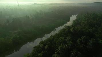 sri lanka ochtend- oerwoud rivier- bijna weligama door drone. zon reflectie in ochtend- de nevel. video