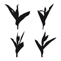 Real modern silhouettes plants, herbs. Drawing tulip. Flat design art design template. vector