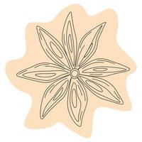 Contour drawing of star anise on abstract backdrop. Spicy spice for coffee or mulled wine. Sticker vector