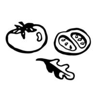 Tomates y Rúcula. vector clipart