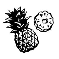 Whole pineapple and a piece. Vector clipart