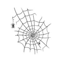 Spider web cobweb vector icon doodle.