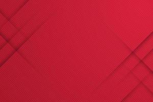 Modern background with diagonal line style vector