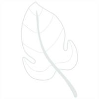 Line art leaf vector