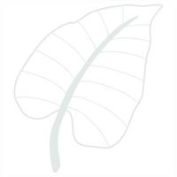 Line art leaf vector