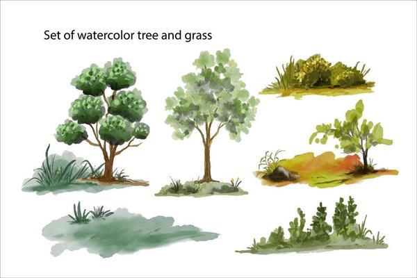 a set watercolor illustration of trees and grasses