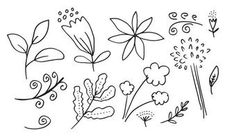 a collection of hand-drawn flower images such as bellflower, chrysanthemums, sunflowers, cotton flowers, and tropical leaves vector