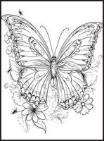 Butterfly Coloring Pages for Adults vector