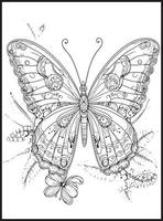 Butterfly Coloring Pages for Adults vector