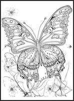 mariposa colorante paginas para adultos vector