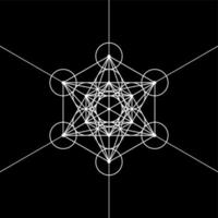 Metatrons Cube, Flower of Life. Sacred geometry, graphic element Vector isolated Illustration. Mystic icon platonic solids, white abstract geometric drawing, typical crop circles