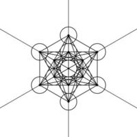 Metatrons Cube,  Flower of Life. Sacred geometry, graphic element Vector isolated Illustration. Mystic icon platonic solids, abstract geometric drawing, typical crop circles