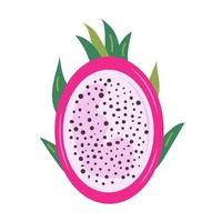 Half of pitaya or pitahaya fruit vector illustration