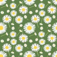 Dandelion or daisy seamless pattern on green background. vector