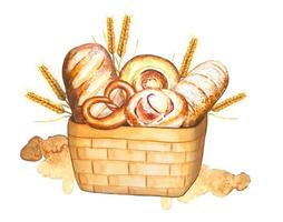 Hand drawn watercolor composition with various pastries and bread in a basket vector