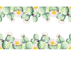 Horizontal frame with watercolor blooming cacti isolated vector