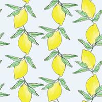 Lemon summer fruit seamless pattern for textile design vector