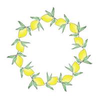 Lemon summer fruit design vector