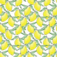 Lemon summer fruit seamless pattern for textile design vector