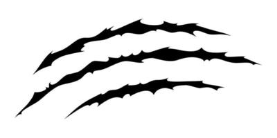 Claw scratches of wild animal. Cat scratches marks isolated in white background. Vector illustration