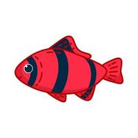 Tiger barb isolated in white background. Vector illustration in cartoon style