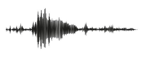 Seismograph measurement or lie detector graph. Seismic measurements with data record. Vector illustration