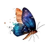 blue purple butterfly watercolor isolated on a white background vector