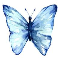 hermosa azul acuarela mariposa en el blanco antecedentes. alas Mira me gusta mojado acuarela Arte dibujos animados animales ilustración para fondo de pantalla. vector