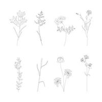 Botanical Plant Signs Thin Line Icons Set. Vector