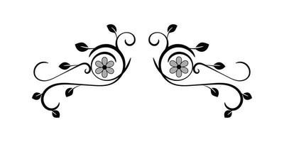 Beautiful floral ornament vector