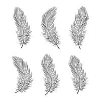 Set of contour bird feathers on a white background, line art. Decor elements, vector