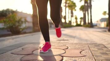 cerca arriba de mujer atadura zapato cordones y corriendo a lo largo el palma avenida a puesta de sol video