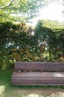 wooden bench in the forest. photo