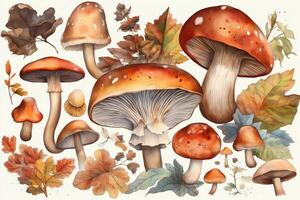 Colorful cute watercolor of autumn mushroom botanicals. photo