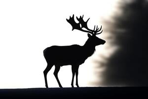 Isolated silhouette of Rudolph the rednosed reindeer Christmas holiday photo
