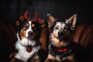 Dogs and cats wearing Christmas accessories Christmas holiday photo